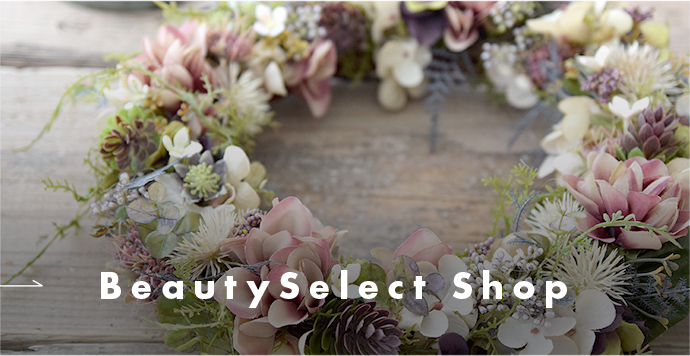 BeautySelect Shop